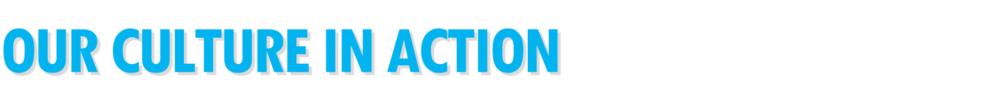 Community-Connections-Subhead-Culture