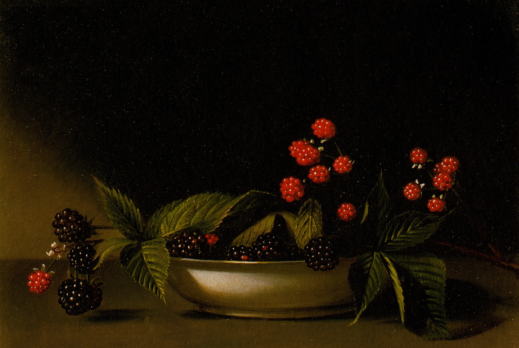 Audubon to Warhol: The Art of American Still Life