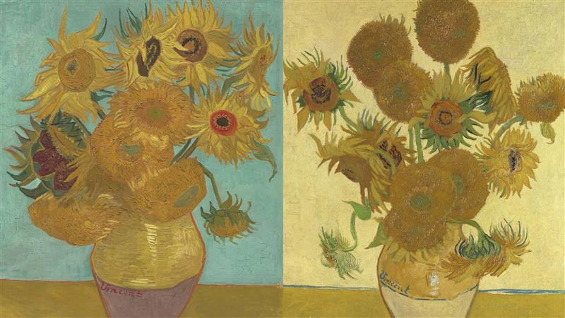 Van Gogh’s Sunflowers: A Symphony in Blue and Yellow