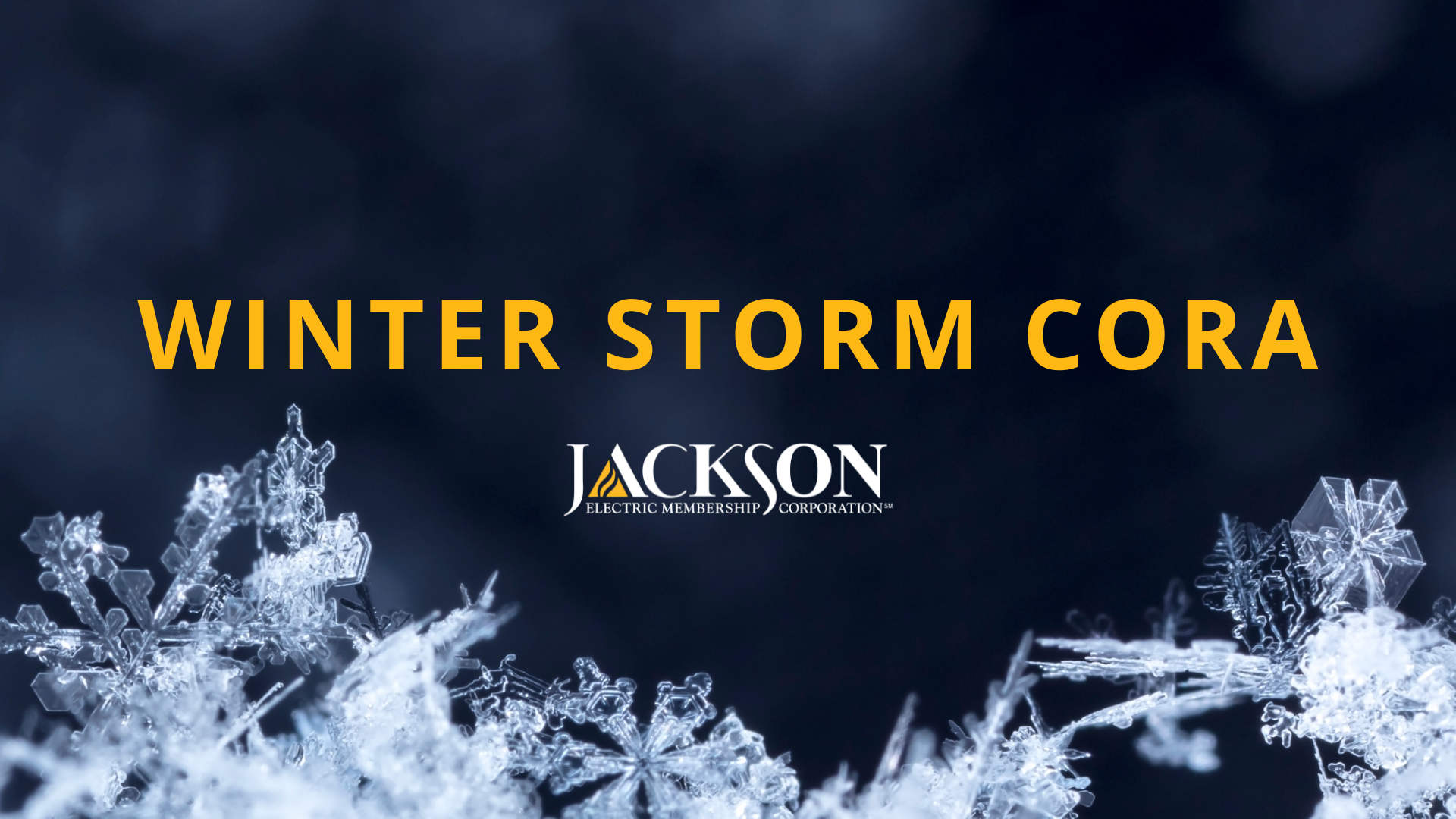 Jackson EMC Winter Storm Cora Update January 10 at 645 pm