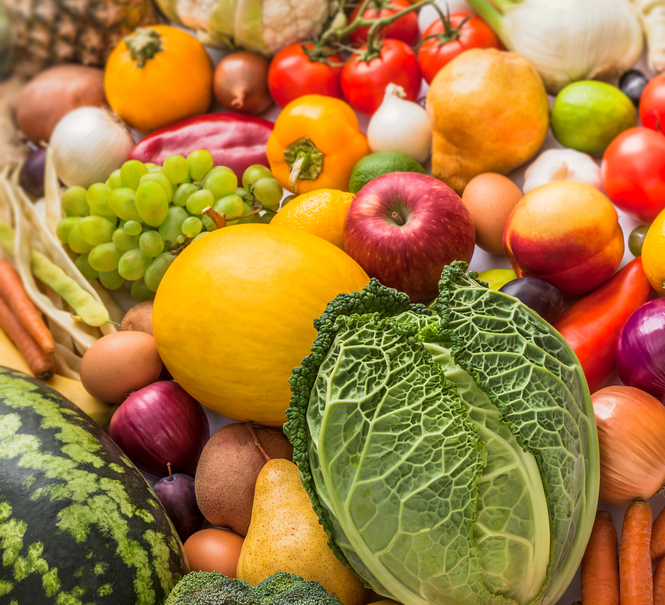 Community Impact Food Bank of Northeast