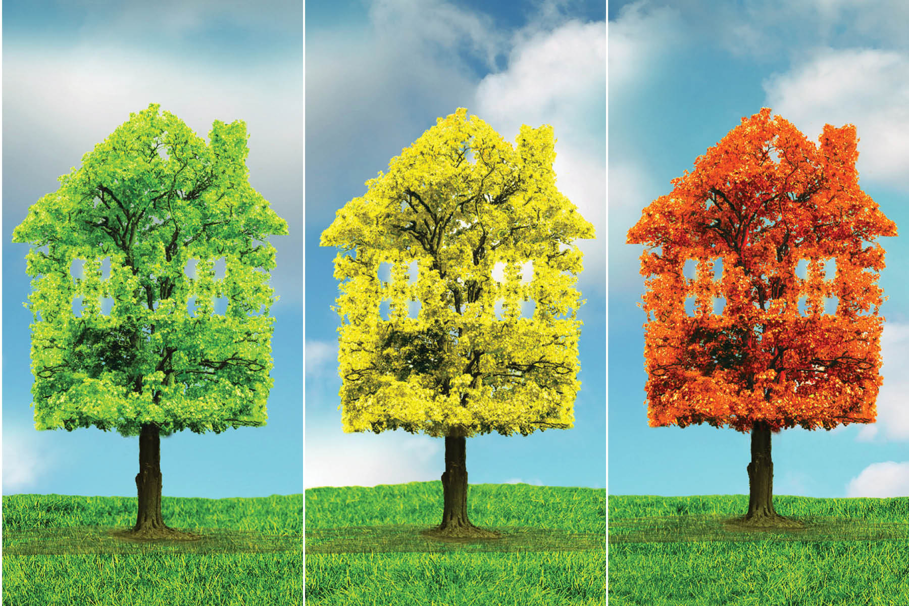 Year Round Energy Savings