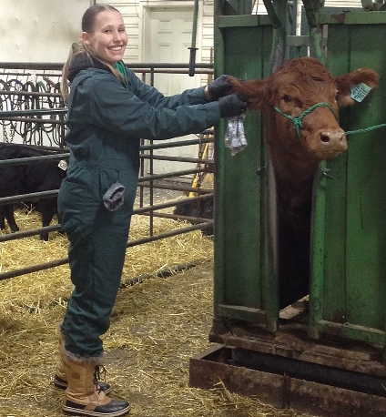 Fourth-year animal science student Faith Jensen has done five internships, working in horse stables in Leduc and Sturgeon counties and with beef cattle operations in Millet and Westlock. (Photo: Supplied) Fourth-year animal science student Faith Jensen has done five internships, working in horse stables in Leduc and Sturgeon counties and with beef cattle operations in Millet and Westlock. (Photo: Supplied)