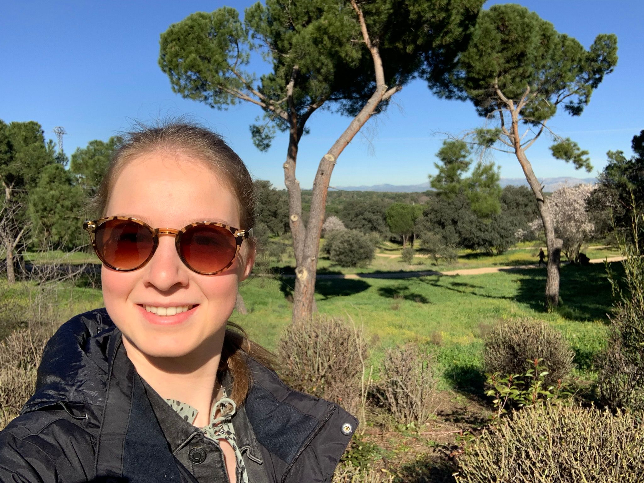 Studeren in het buitenland: Madrid