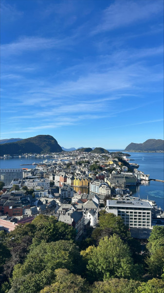 Uitzicht over het dorpje Ålesund