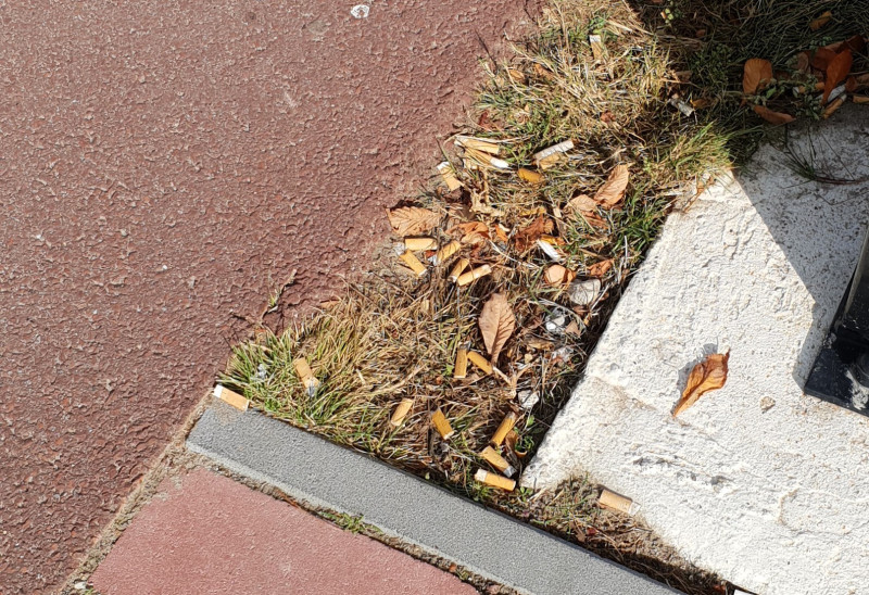 Sigarettenpeuken bij de hoofdingang van campus Rachelsmolen 