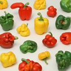 Replica's van 'mislukte' paprika's