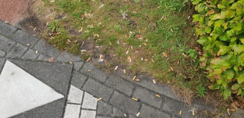 Sigarettenpeuken nabij het Nexus-gebouw.