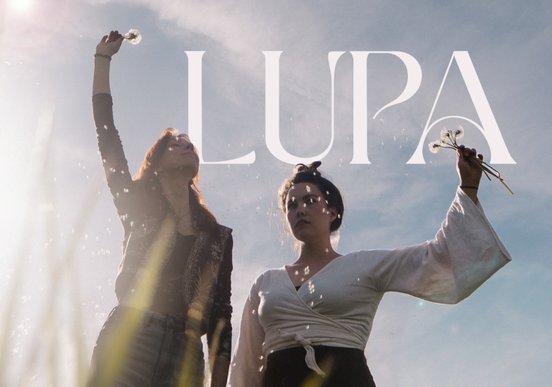 LUPA