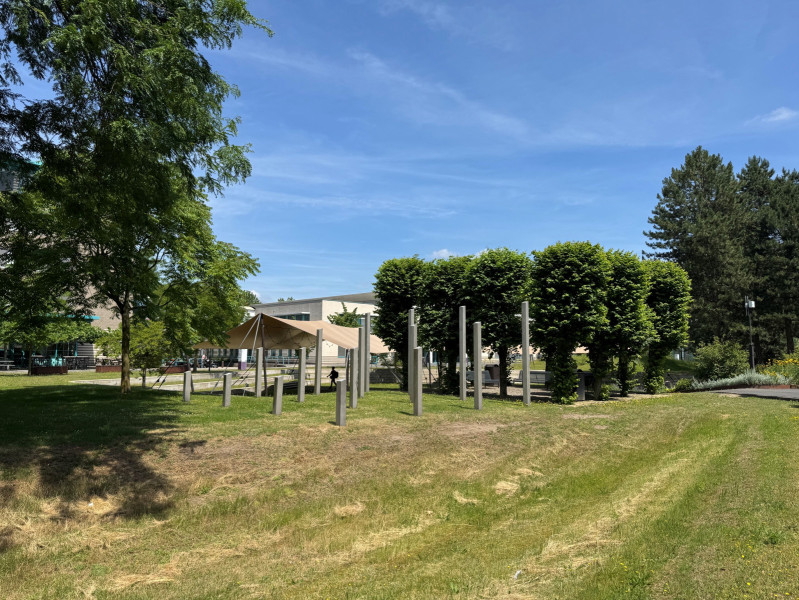 Een vrijwel uitgestorven campus vanwege de hitte