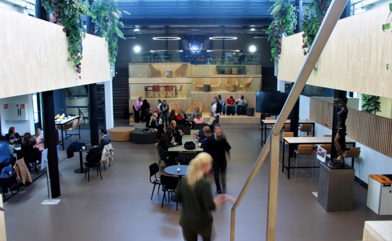 De tevredenheid zinkt onder de 60 procent bij studenten van juridische hbo-opleidingen.