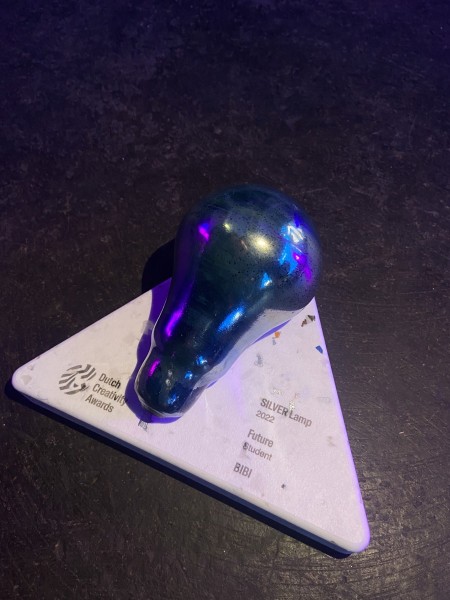 De gewonnen prijs