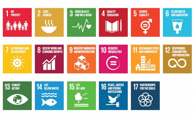 Sustainable Development Goals, kortweg SDG's
