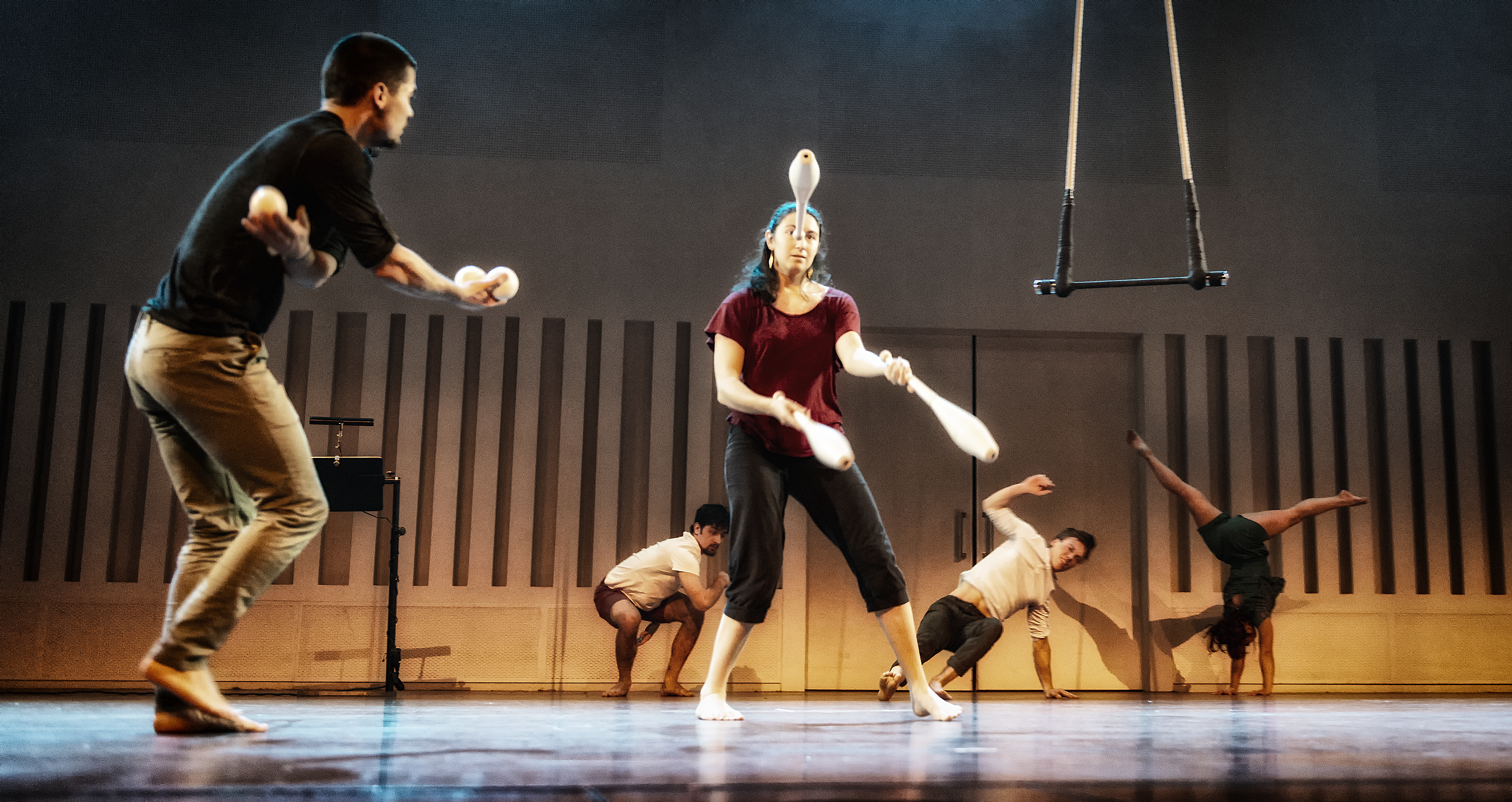 Circusvoorstelling
