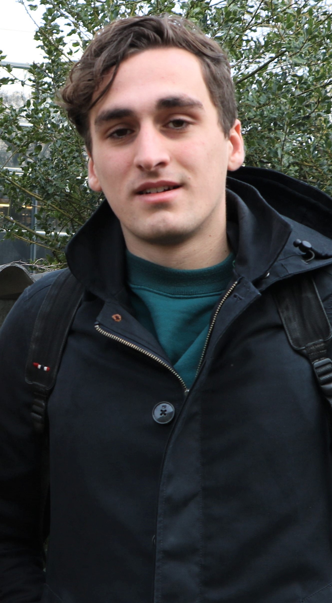 Sander