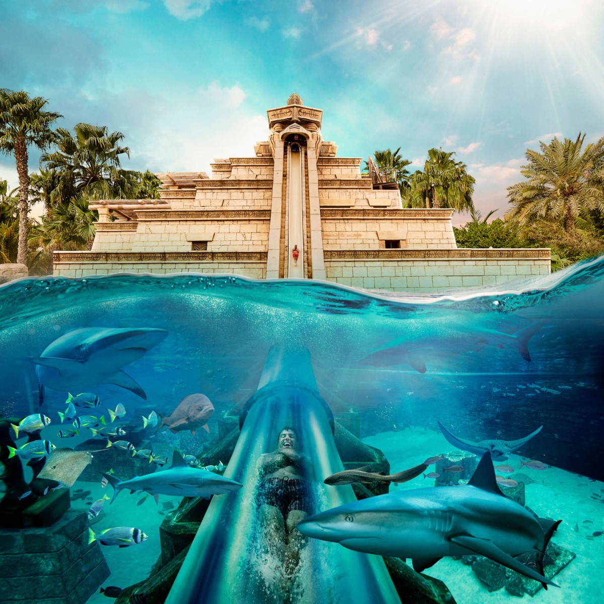 Aquaventure Waterpark _Tower of Neptune_Sharks