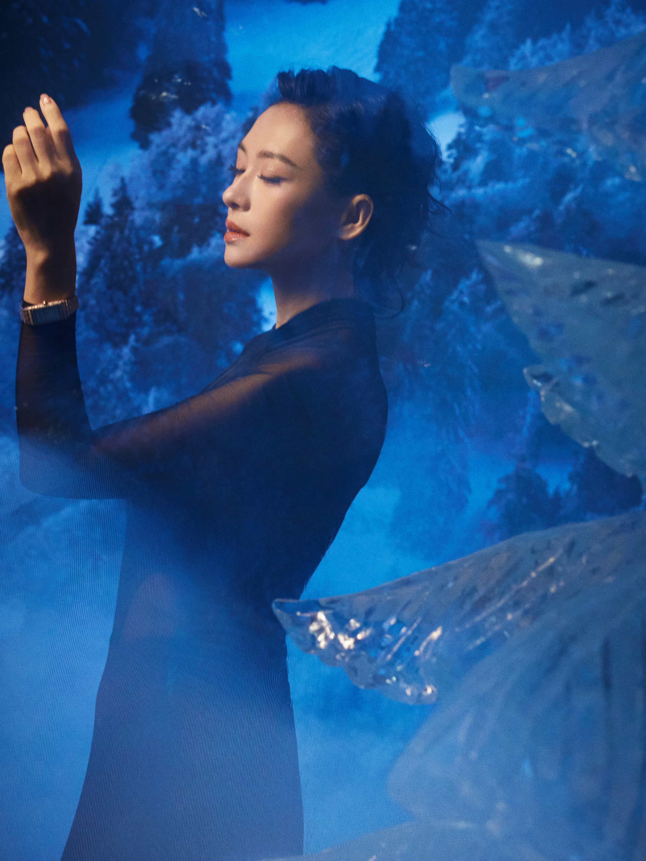 Zhang Ziyi wears Pink Gold Reverso One 'Hibiscus Syriacus' (Q3292324)