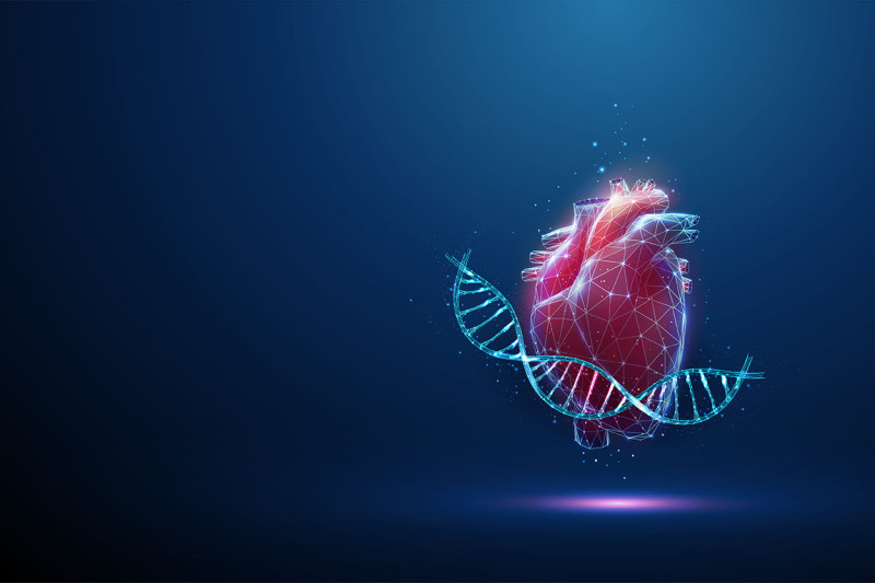 Research Tip Sheet: AI, Gene Therapy, Heart and Medication Studies