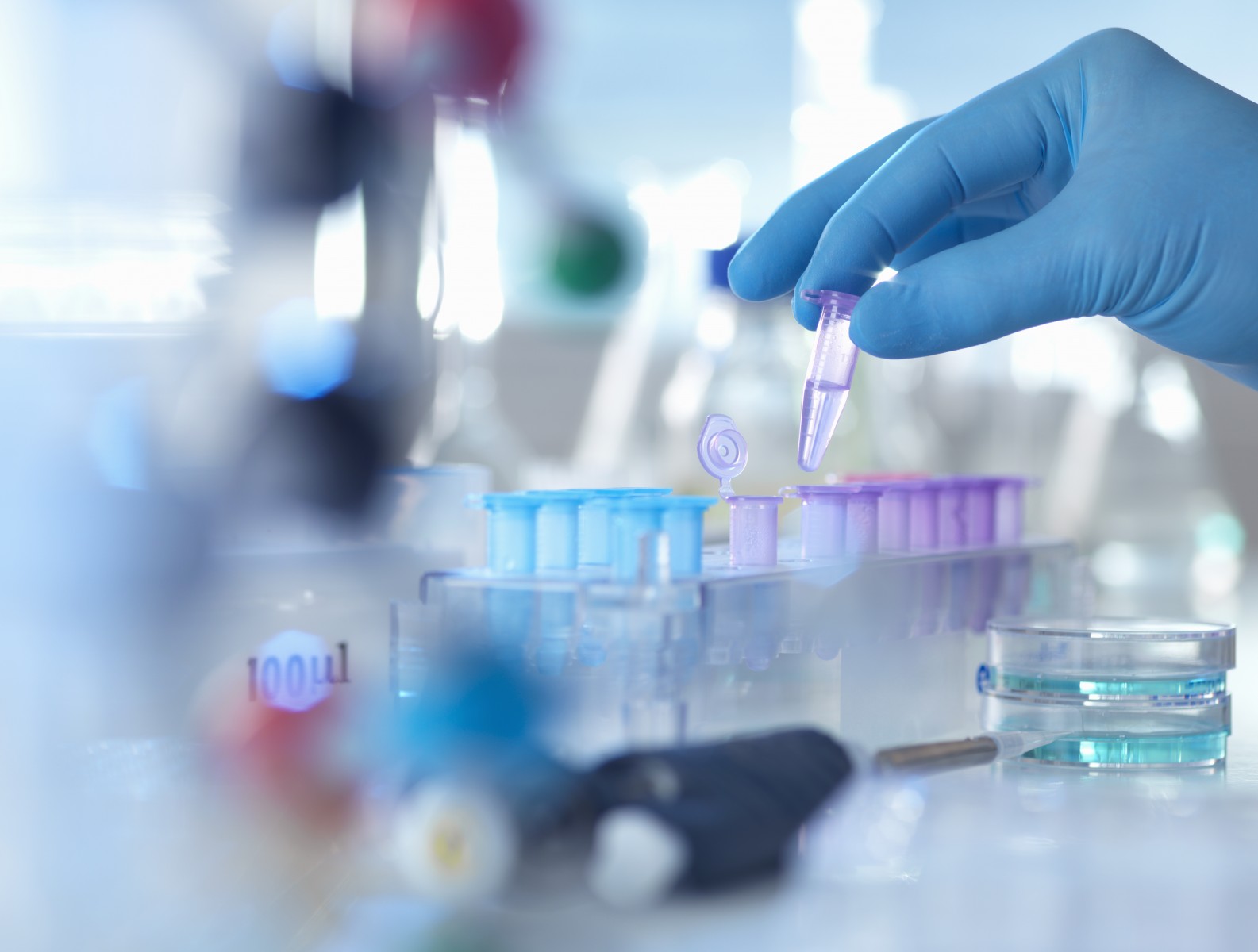 Pharmacology Researcher to Lead Cancer Diversity, Inclusion Program