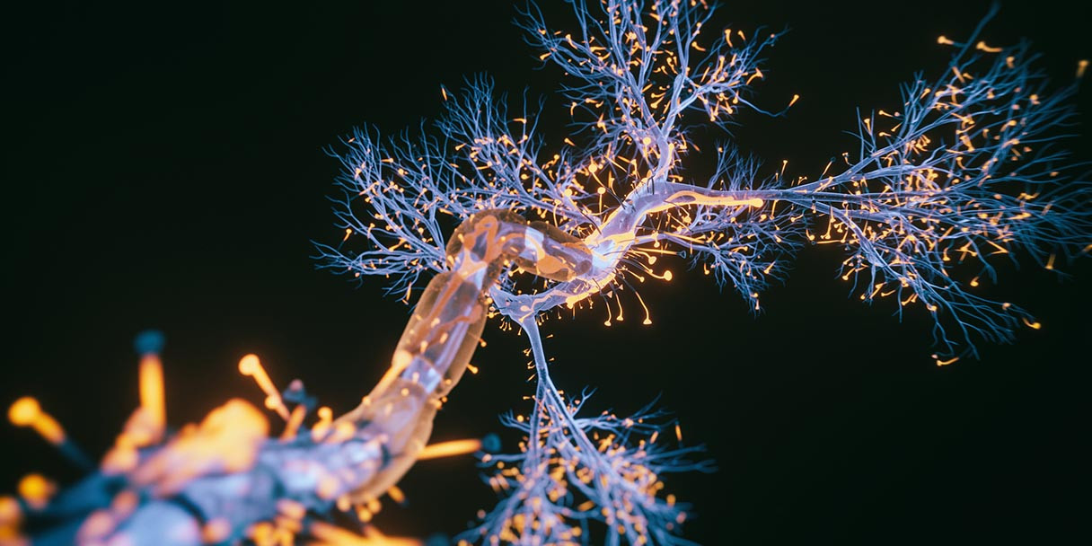 Cedars-Sinai Adds Stem Cell Skill to Key Parkinson's Disease Study
