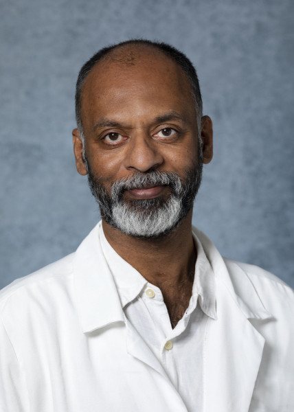 V Krishnan Ramanujan, PhD, MSHS