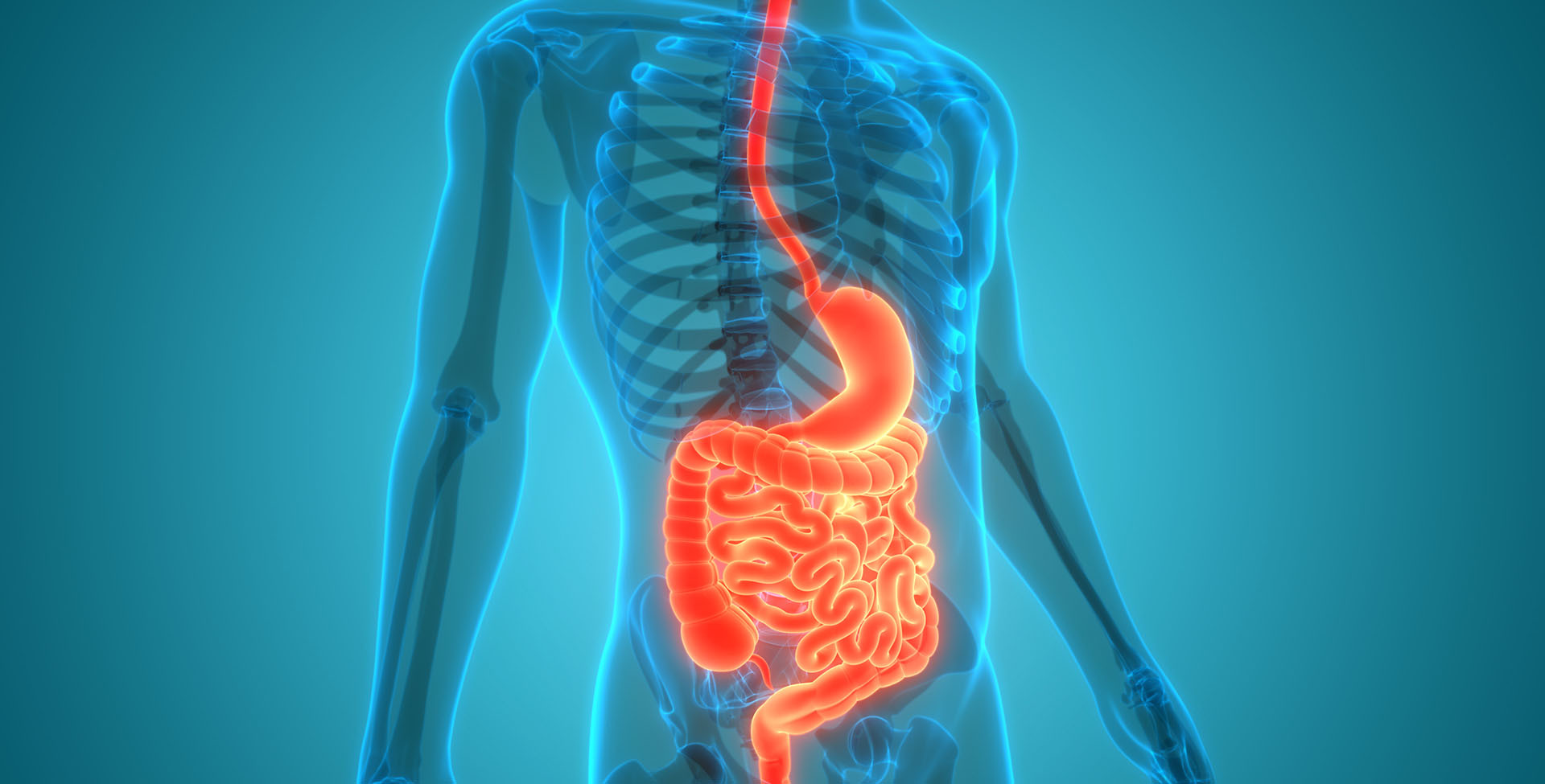 Cedars-Sinai Experts Highlight Digestive Health Advances
