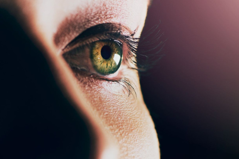 Research Tip Sheet: Immunity, Cancer Wasting, Eye Disease