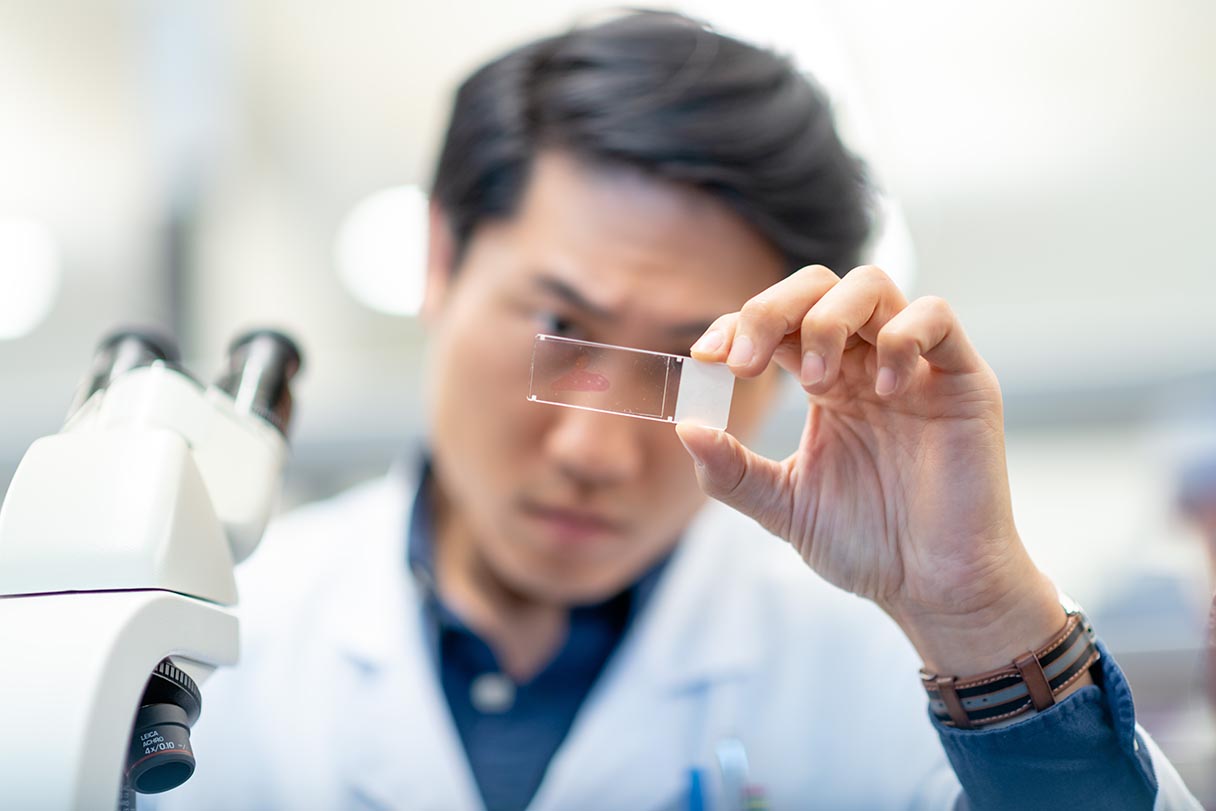 New AI Tool Predicts Most Effective Pancreatic Cancer Treatm