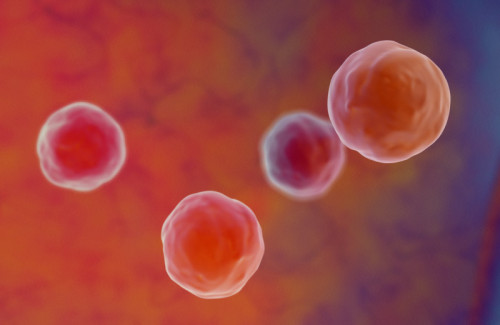 image-Aged Blood Vessel Cells Drive Metabolic Diseases