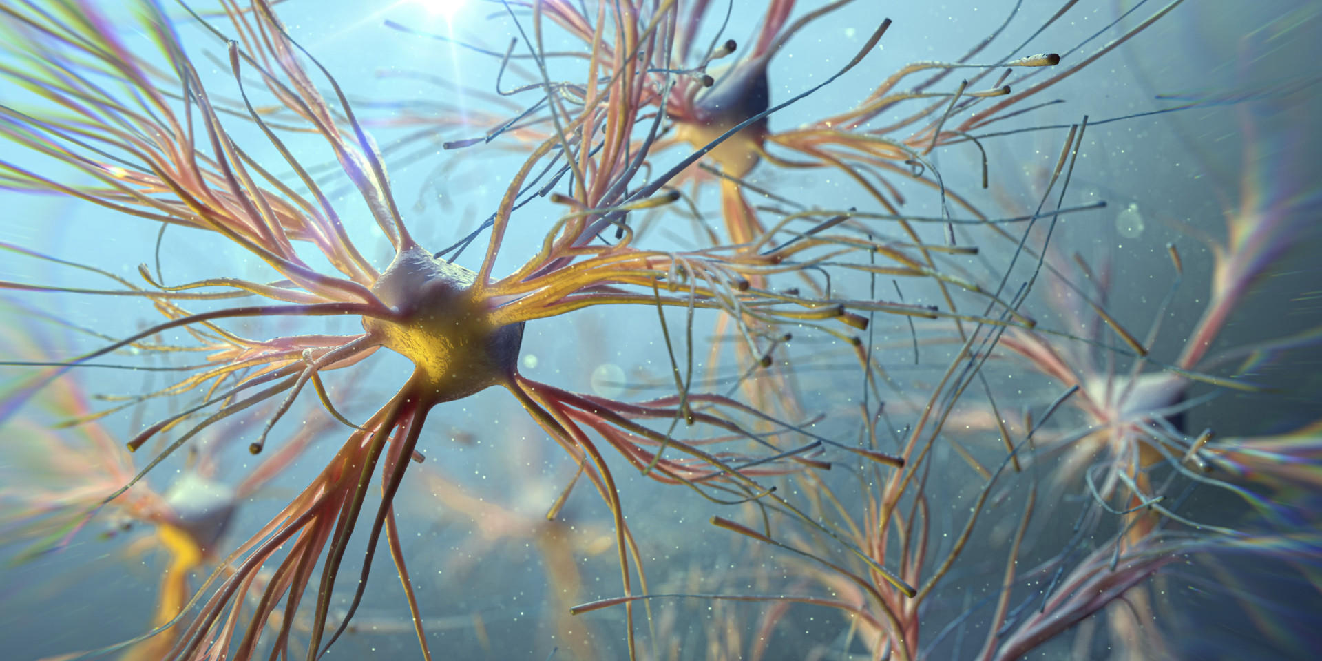 How Do Spinal Cord Injuries Heal? | Newswise