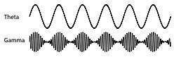 Esta ilustración muestra cómo dos tipos de ondas cerebrales se alinean mediante el acoplamiento de fase-amplitud. Imagen cortesía de Rutishauser Lab.