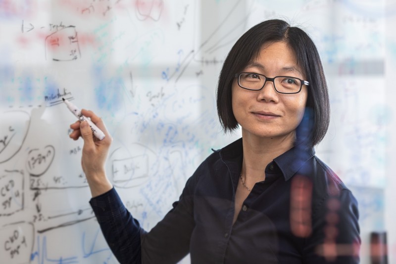 Susan Cheng, MD, MPH
