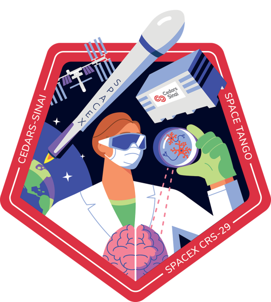 2nd Space Launch of CedarsSinai Stem Cells Slated for Nov. 9