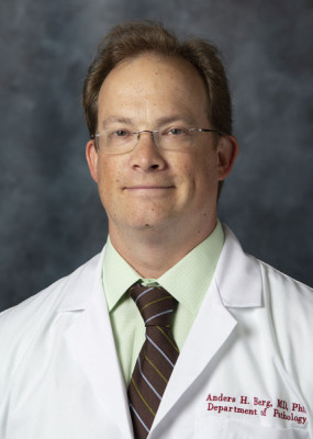 Anders Berg, MD, PhD