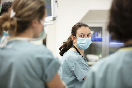 image-Academic Medicine Accelerated at Cedars-Sinai Health Sciences University