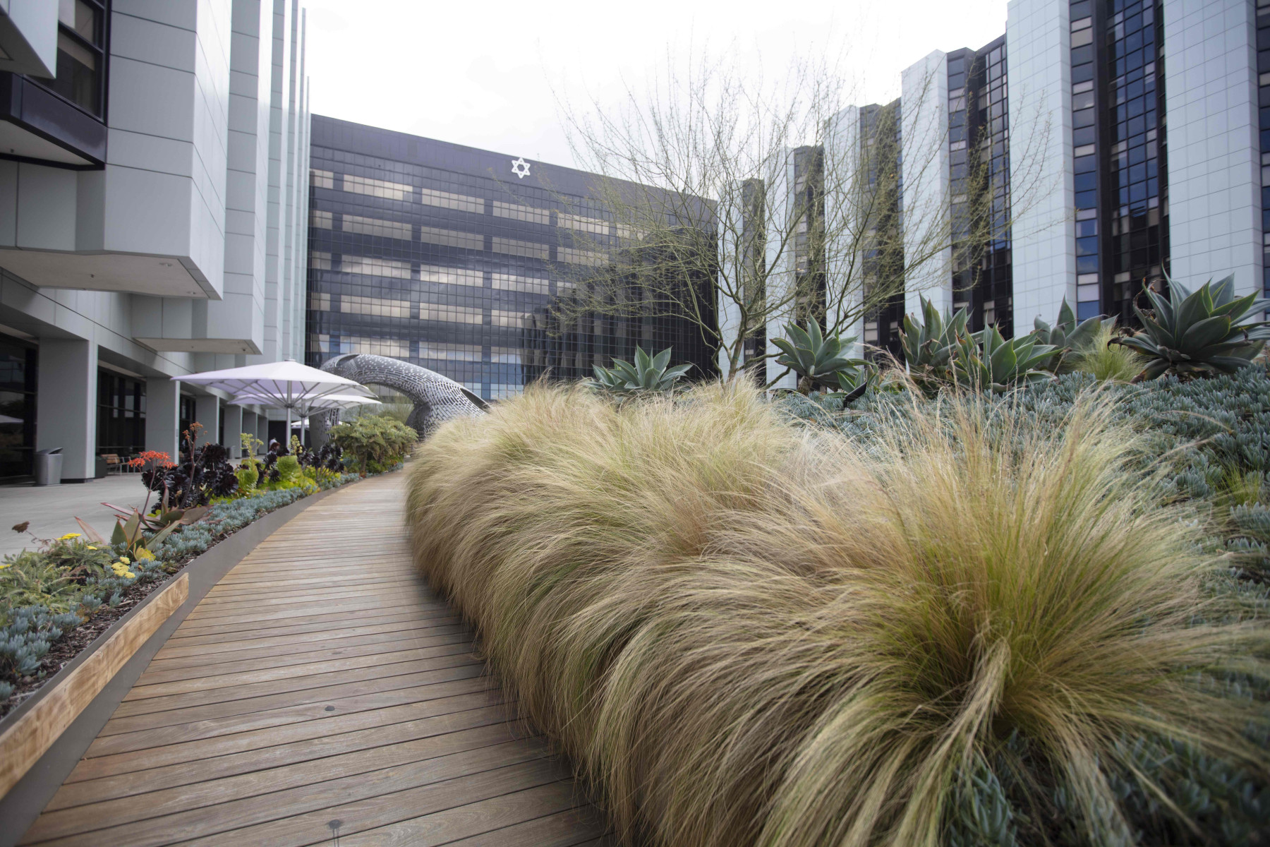 CedarsSinai New Plastic Surgery Leader