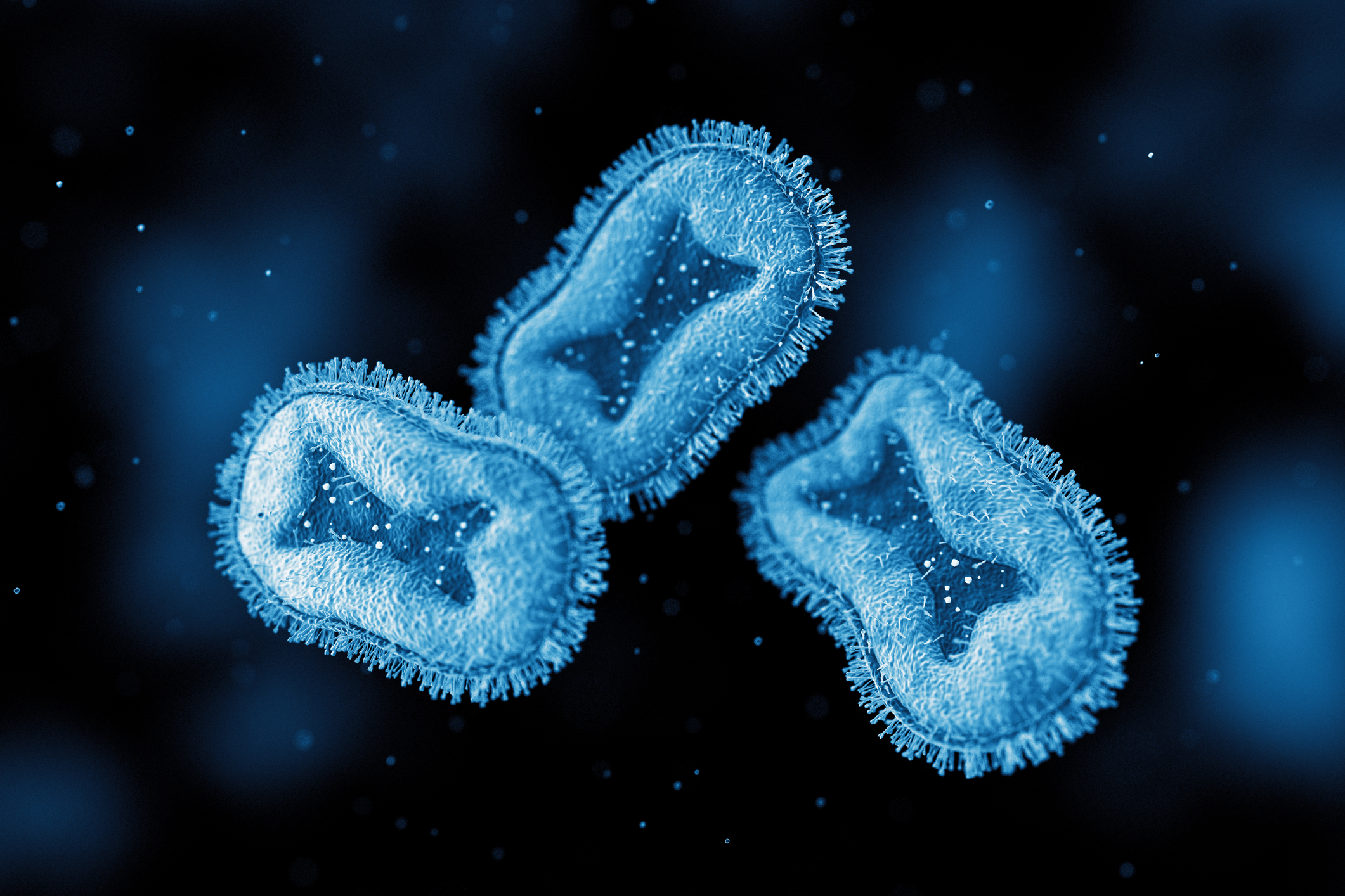 The Truth About Monkeypox