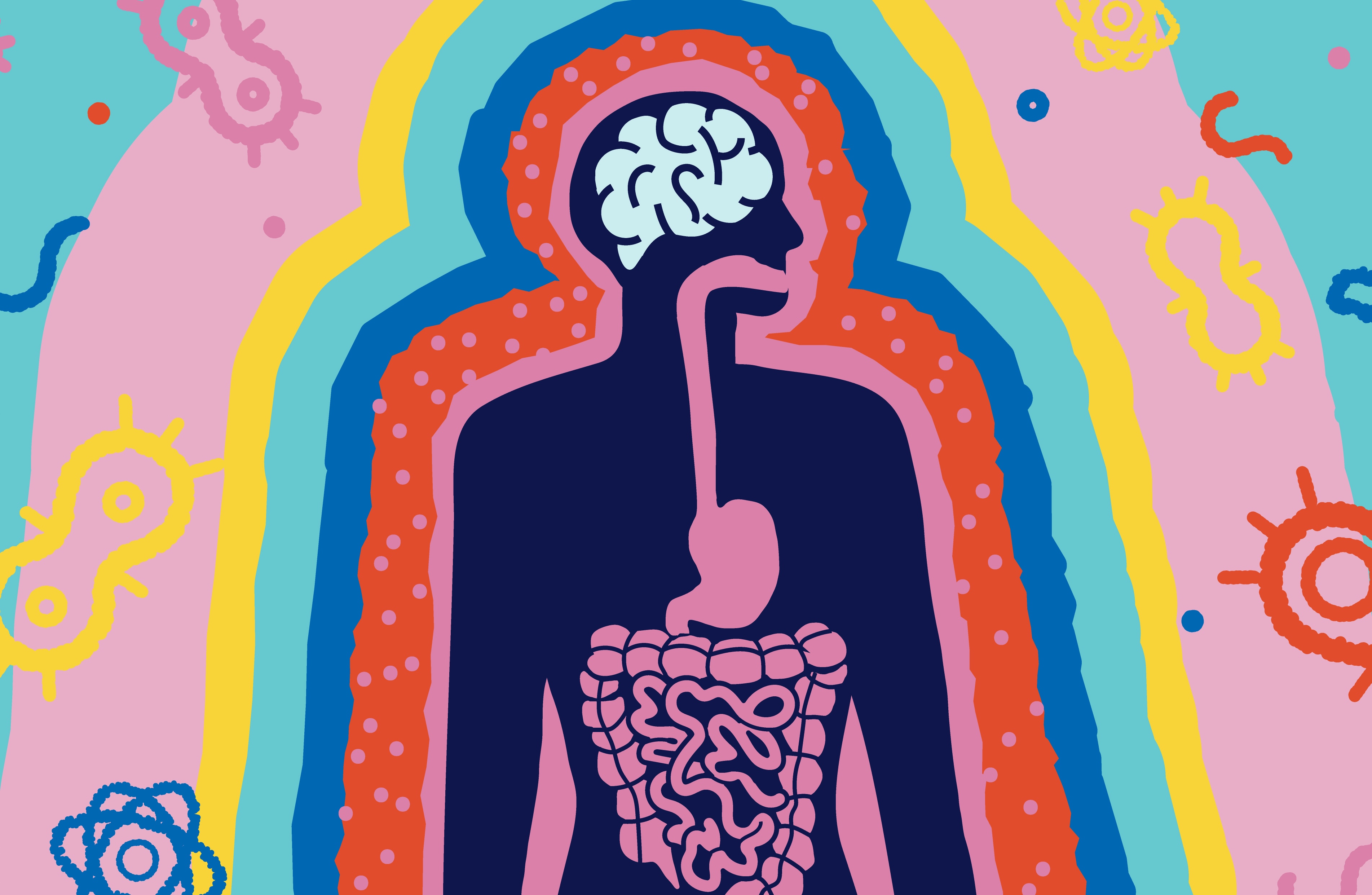 Prebiotic in diet linked to less impulsivity in gambling rats with TBI