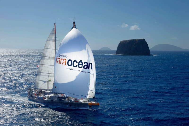 The schooner Tara is a floating laboratory enabling the collection of samples around the world that are being cataloged to better understand the unseen inhabitants of the ocean, from tiny animals to viruses and bacteria. Copyright Maeva Bardy - Tara Ocean Foundation