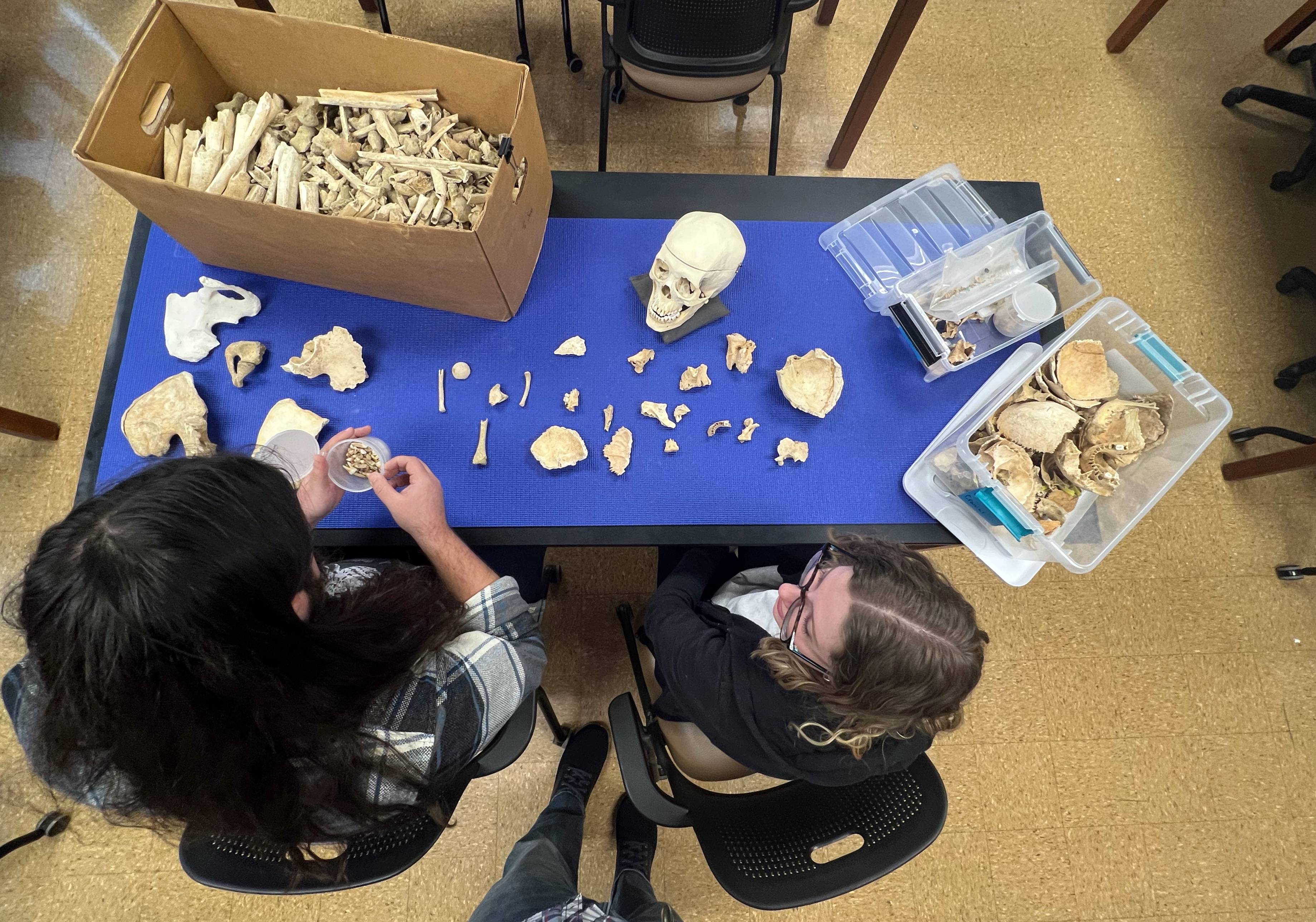 Forensic anthropology program explodes at Ohio State