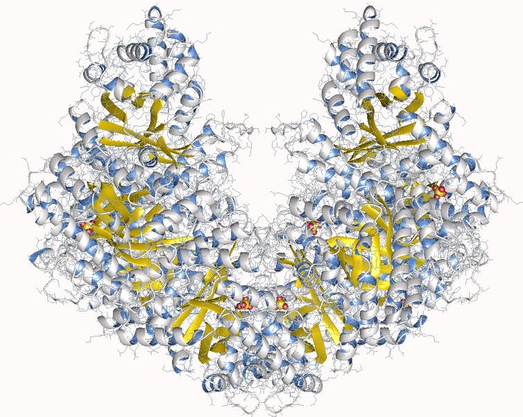 A model of an enzyme molecule