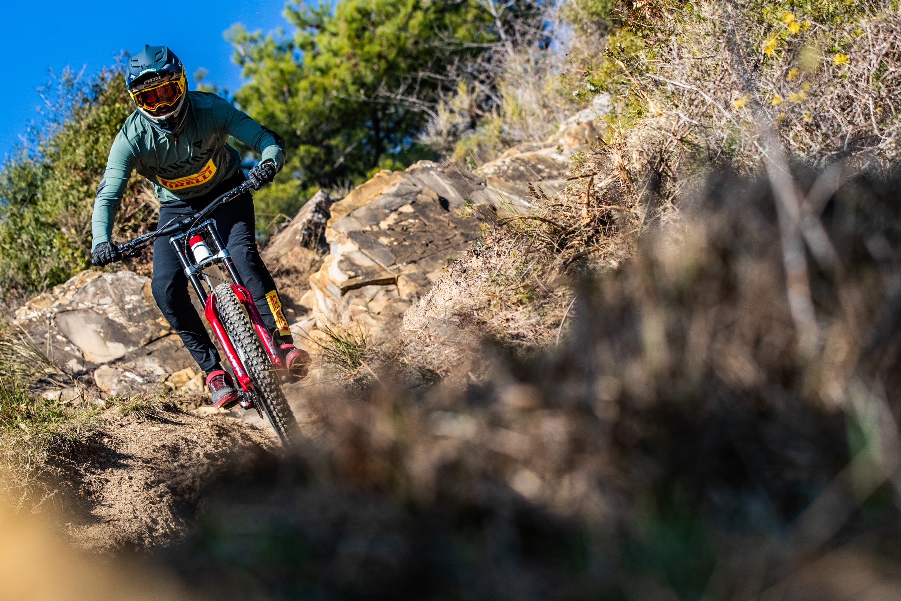 INTRODUCING THE DH CANYON CLLCTV PIRELLI TEAM - Vimarsana News