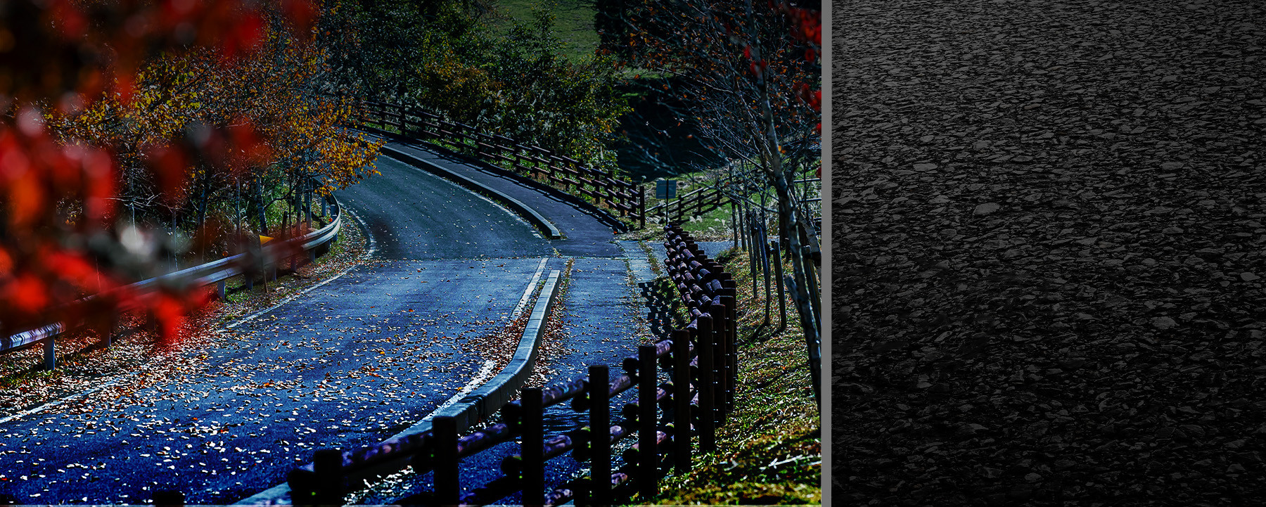 RALLY JAPAN UNDER THE BANNER OF WET TYRES - Vimarsana News