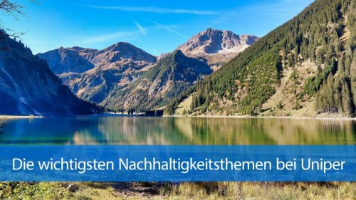 Energieversorgungs Losungsunternehmen Uniper