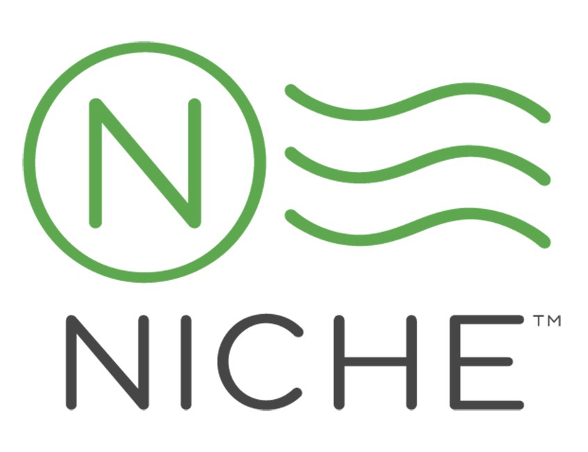 UST Ranked 16 in Niche's 2020 Best Colleges in Texas