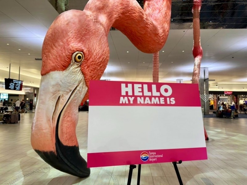 flamingo22