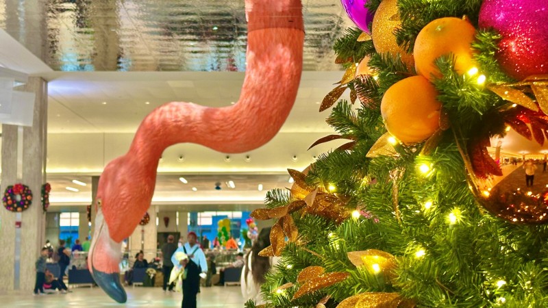 Holiday Flamingo 16x9