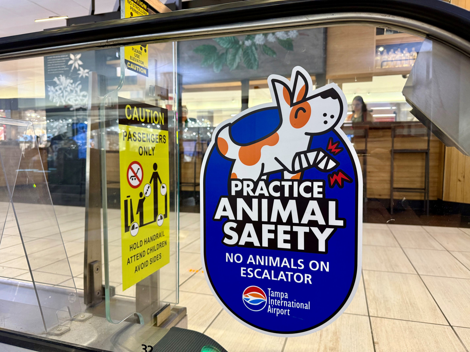 Dog safety escalators