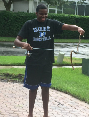 snake