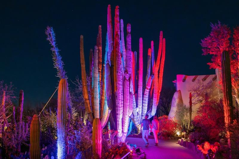 SRP Offers Discount to Enjoy Flashlight Nights at Desert Botanical